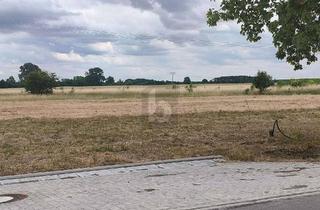 Grundstück zu kaufen in 04860 Torgau, WOHNEN IM GRÜNEN BEGINNT HIER - NEUBAUGEBIET