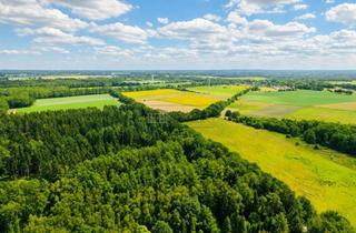 Grundstück zu kaufen in 21279 Wenzendorf, 2.500 m² Naturgrundstück für Ihr Traumhaus im Grünen