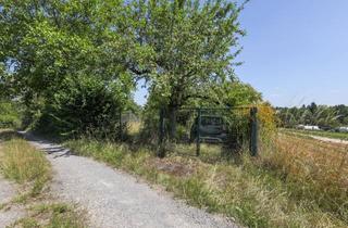 Lager kaufen in 75177 Pforzheim, Gartenfreunde aufgepasst! - Freizeitgrundstück im beliebten Gartengebiet Krummer Weg / Riebergle