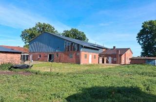 Bauernhaus kaufen in 25727 Süderhastedt, Süderhastedt - Resthof in idyllischer Alleinlage
