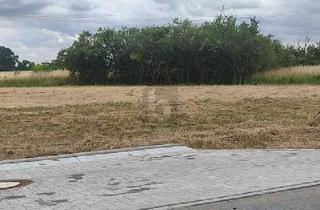 Grundstück zu kaufen in 04860 Torgau, Dreiheide - IHR NEUES KAPITEL BEGINNT HIER