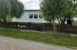 Einfamilienhaus kaufen in 39606 Osterburg, Osterburg (Altmark) - Einfamilienhaus mit 6300qm Grundstück zu verkaufen.