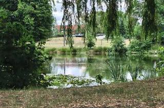 Grundstück zu kaufen in 04860 Torgau, Dreiheide - LÄNDLICHE RUHE OHNE ABGESCHIEDENHEIT