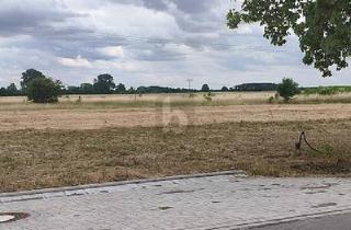 Grundstück zu kaufen in 04860 Torgau, Dreiheide - WOHNEN IM GRÜNEN BEGINNT HIER - NEUBAUGEBIET