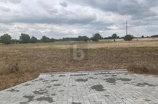 Grundstück zu kaufen in 04860 Torgau, Dreiheide - NEUBAUGEBIET: MODERN BAUEN & NATÜRLICH LEBEN