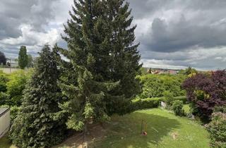 Wohnung kaufen in 89415 Lauingen, Sonnige Aussichten: Über 5 % Mietrendite + starke Kapitalanlage!