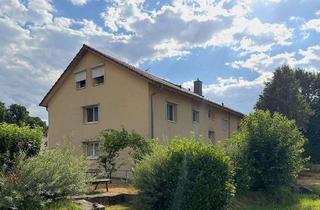 Wohnung kaufen in 79183 Waldkirch, 1-Zimmer Dachgeschosswohnung in Bahnhofsnähe – Kapitalanlage mit langjährigem Mietverhältnis