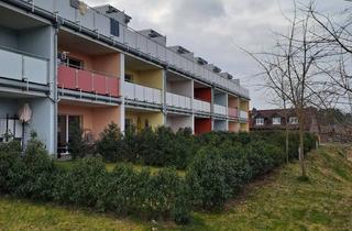 Wohnung mieten in Holunderweg 650, 38524 Sassenburg, 1-Zimmer-Apartment am Bernsteinsee | Dachgeschoss in ruhiger Lage