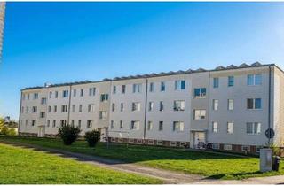 Wohnung mieten in Schulring 2 a, 18320 Trinwillershagen, 4 Raum Wohnung in Trinwillershagen