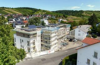 Wohnung mieten in Mühlbergstrasse 17, 71384 Weinstadt, Charmante 3 Zimmer Neubauwohnung mit Balkon und Blick ins Grüne
