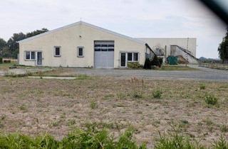 Gewerbeimmobilie kaufen in 01561 Lampertswalde, Gewerbehallen mit Bürokomplex - Großenhain / Lampertswalde