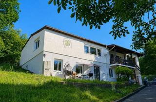 Haus kaufen in 63785 Obernburg, Großzügig, grün und vielseitig: Wohnen mit Platzangebot für ein bis zwei Familien!