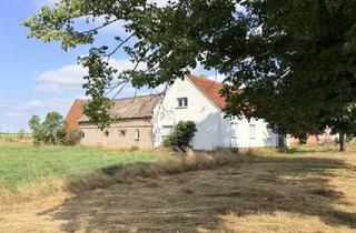 Haus kaufen in 03253 Doberlug-Kirchhain, Resthof mit Ausbaupotential