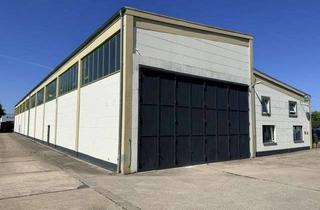 Büro zu mieten in 30966 Hemmingen, Stahlbetonhalle mit gr. Einfahrtstoren, LKW Grube u Büro
