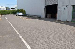 Büro zu mieten in 65239 Hochheim, Lager- und Produktionshalle, ca. 1412 m2, Topzustand, sowie Büroräume von ca. 100 m²