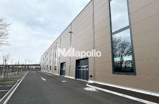 Gewerbeimmobilie mieten in 63179 Obertshausen, Attraktiver Mietzins! | 8.000m² Halle | ebenerdige Tore