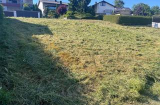 Grundstück zu kaufen in Uhlandstraße XX, 74366 Kirchheim, Baugrundstück in Toplage von Kirchheim am Neckar – vielseitig bebaubar