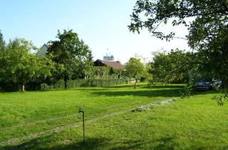 Grundstück zu kaufen in 85604 Zorneding, Sonne im Garten. Platz für die Familie. Zuhause in Zorneding
