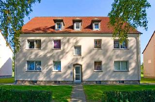 Wohnung mieten in Billerbecker Straße 74, 32839 Steinheim, Schöne Wohnung im Erdgeschoss