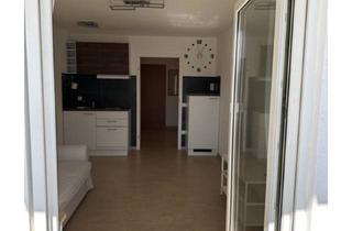 Wohnung mieten in Murrhardter Str. 56, 73642 Welzheim, Geschmackvolle 1-Zimmer-Wohnung mit EBK in Welzheim