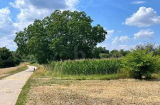 Grundstück zu kaufen in 76684 Östringen, GROßES POTENTIAL MIT VIELSEITIGEN MÖGLICHKEITEN