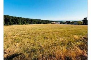 Gewerbeimmobilie kaufen in 65719 Hofheim am Taunus, ***Tolles Ackerland welches an Bauland durch einen Weg getrennt ist!!!***