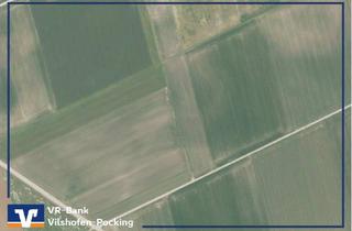 Immobilie kaufen in 94522 Wallersdorf, Landwirtschaftliches Ackerland nähe Moosfürth bei Wallersdorf!