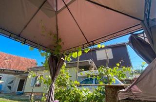 Einfamilienhaus kaufen in 03058 Neuhausen, Neuhausen/Spree - 3 Seiten Hof mit Haus kernsaniert, kleiner Garten -Dorf