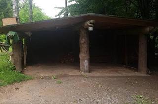 Einfamilienhaus kaufen in 99765 Heringen, Heringen/Helme - Einfamilienhaus in traumhafter Alleinlage - Wohnen mitten im Wald