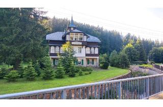 Villa kaufen in 01773 Altenberg, Altenberg - Villa mit großzügigem Grundstück