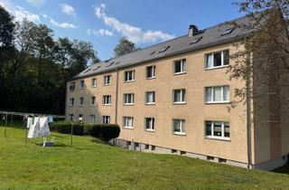 Wohnung mieten in 08352 Raschau, Voll möblierte 3 Raumwohnung im grünen von Markersbach-Kurzzeitmiete von 3 Monaten möglich!
