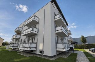 Wohnung mieten in Boddenweg 31b, 18439 Andershof, gemütliche 2-Zimmer-Wohnung mit Balkon