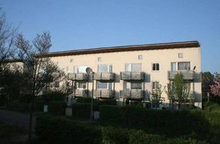 Wohnung mieten in Rigaer Str. 10, 30419 Ledeburg, Gemütliche 1,5-Zimmer-Wohnung mit Terrasse