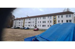 Wohnung mieten in Schwarzenpfost, 18182 Rövershagen, Frisch renoviert! 2‑Raum‑Wohnung (in Rövershagen) im Grünen - Hochparterre, Stellplatz, sofort frei!