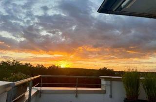 Penthouse mieten in 74906 Bad Rappenau, Luxuriöses Penthouse mit Klimaanlage, Dachterrasse, Kamin und tollem Blick über Bad Rappenau
