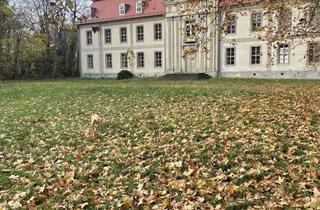 Wohnung mieten in Geschwister-Scholl-Straße 25, 06780 Zörbig, Wohnen am Schloss - Schöne 2-Zimmer Wohnung