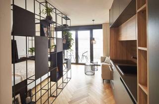 Wohnung mieten in 77974 Meißenheim, Modern möbliertes 1-Zimmer-Apartment mit Balkon in zentraler Lage von Meißenheim
