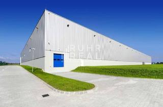 Gewerbeimmobilie mieten in 50374 Erftstadt, Rampen | Neubauprojekt | ebenerdige Tore | Sprinkleranlage | RUHR REAL