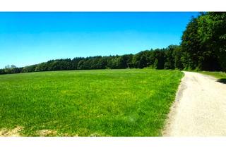 Grundstück zu kaufen in 87754 Kammlach, Landwirtschaftliches Grundstück im Unterallgäu zwischen MM und MN