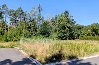 Grundstück zu kaufen in 91058 Eltersdorf, Platz für ihr Traumhaus