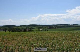 Grundstück zu kaufen in An Der K 39, 19300 Grabow, Landwirtschaftsflächen/Grünland