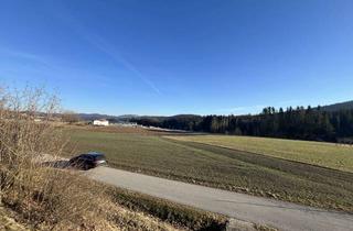 Gewerbeimmobilie kaufen in Pölzöd, 94110 Wegscheid, Gewerbegrundstück mit 21.093 m²