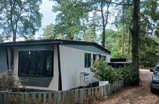 Haus kaufen in 47638 Straelen, Straelen - Großes Chalet in den Maasdünen, NL Well