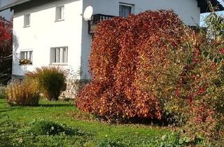 Einfamilienhaus kaufen in 94522 Wallersdorf, Wallersdorf - tolles Einfamilienhaus