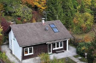 Einfamilienhaus kaufen in 72213 Altensteig, Altensteig - Traumzuhause mit riesigem Garten in sonniger Südhanglage
