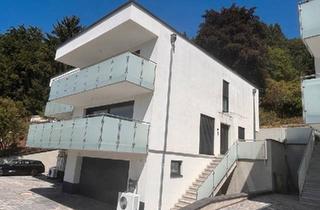 Doppelhaushälfte kaufen in 64646 Heppenheim, Heppenheim (Bergstraße) - Modernes Haus mit beeindruckender Aussicht