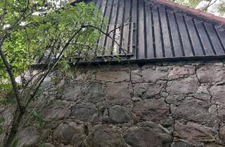 Haus kaufen in 17129 Tutow, Tutow - Haus mit Grundstück