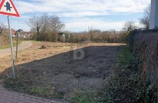 Grundstück zu kaufen in 79241 Ihringen, Ihringen - KAISERSTÜHLER IDYLLE TRIFFT FREIBURGER STADTNÄHE