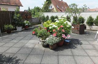 Wohnung kaufen in 71706 Markgröningen, Eigentum in historischer Top-Lage sichern, Nießbrauch-Maisonette im Zentrum von Markgröningen