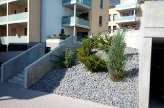Wohnung mieten in Klobikauer Straße 20, 06217 Merseburg, Attraktive und geräumige 2-Raumwohnung mit Loggia und Dusche – barrierearm